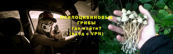 ешки Балахна