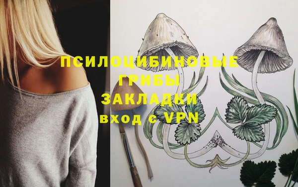 мет Баксан
